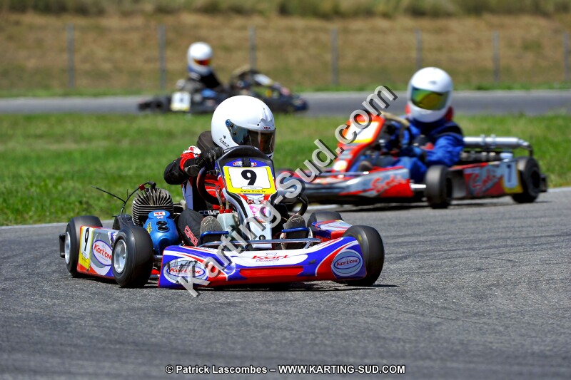 DSC_ (1467).jpg